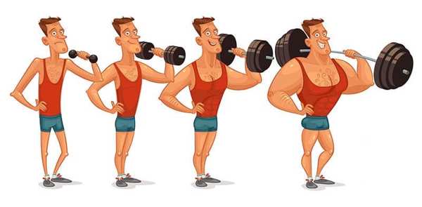 افزایش حجم افراد لاغر، عضله سازی افراد لاغر