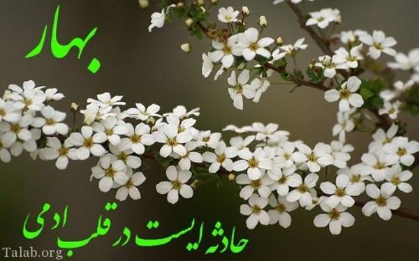 متن های زیبا برای تبریک عید نوروز