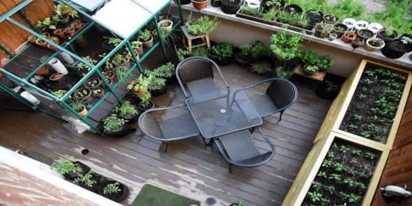 ایده های باغبانی در منزل و آپارتمان