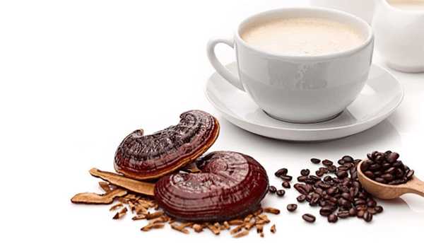 قهوه گانودرما چیست Ganoderma Coffee خواص، عوارض