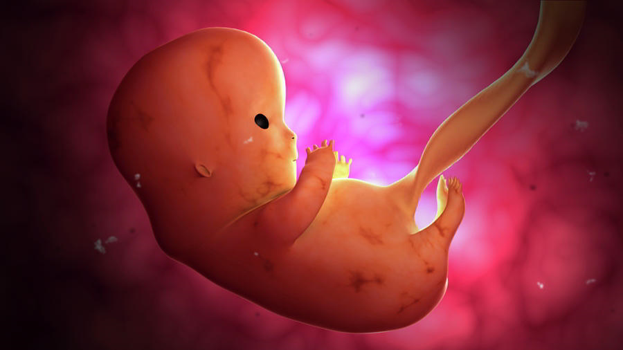 علائم صد در صد جنین پسر طب سنتی و پزشکی