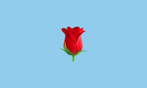 گل رز قرمز - معنی ایموجی گل رز قرمز 🌹 و نشانه چیست